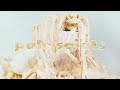 Pale Saints - Throwing Back The Apple (Official Visualiser)