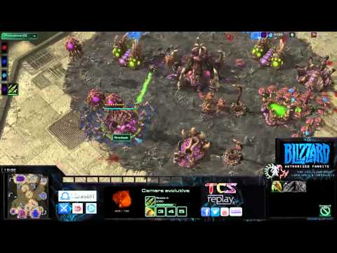 TCS #195: [ZZvZZ] ZvZ...circa...