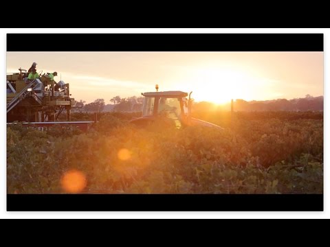 The essence of Rutherglen