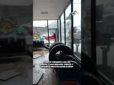 🌪️ FUERTE TORMENTA EN LAS ROSAS Y SAN GENARO: VIENTO Y GRANIZO PROVOCARON DAÑOS