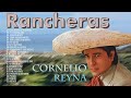 Cornelio Reyna Viejitas Pero Bonitas Canciones - Cornelio Reyna Sus Mejores - 35 Grandes Exitos