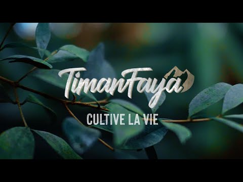 TIMANFAYA - CULTIVE LA VIE  [Clip officiel 2020]