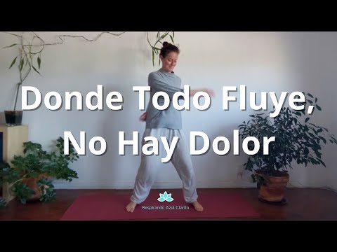 Articulaciones, Sistema Linfático, Huesos y Sistema Nervioso | Chi Kung | Tai Chi | Kung fu | Wu Shu
