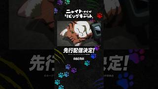 - 『ニャイト・オブ・ザ・リビングキャット』ABEMAで【先行配信】決定 #shorts