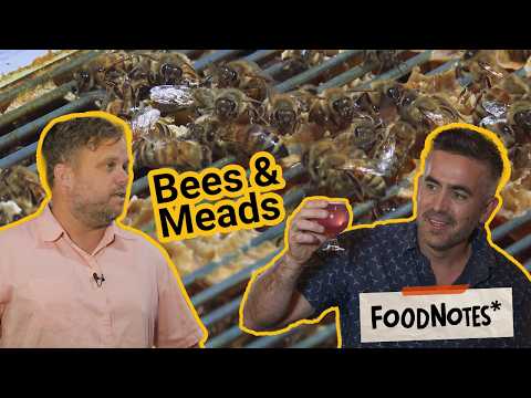 Nevada's First Meadery | FoodNotes* - Black Rabbit Mead Company