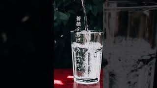 「さよなら。」間近のお付き合いに / IA [ Music video ] 315 [ 4/4 ] #shorts