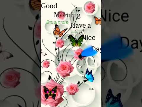 #zubaida Whatsapp status Good morning
