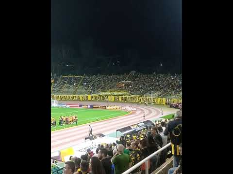 Gol de Carlos Sosa. Táchira 2- Zamora 1.  #ligafutve #táchira #futbol