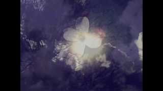 Mary Davis Jr. - Moonriver video