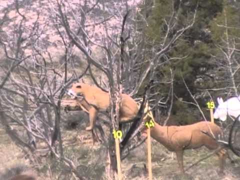 griff's "cruger" 3d archery shot