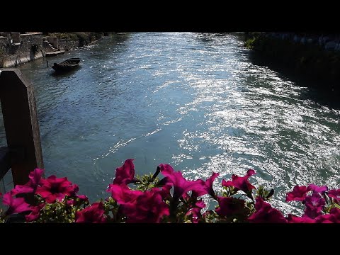 Fritz Kalkbrenner - Good Things (Music Video 2020)