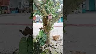 Download lagu #songlyrics #music mp3 Download lagu #songlyrics #music mp3