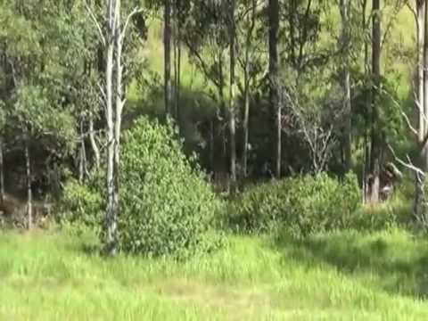 Lot 19 Springflats, Moorina.CtWMV V9