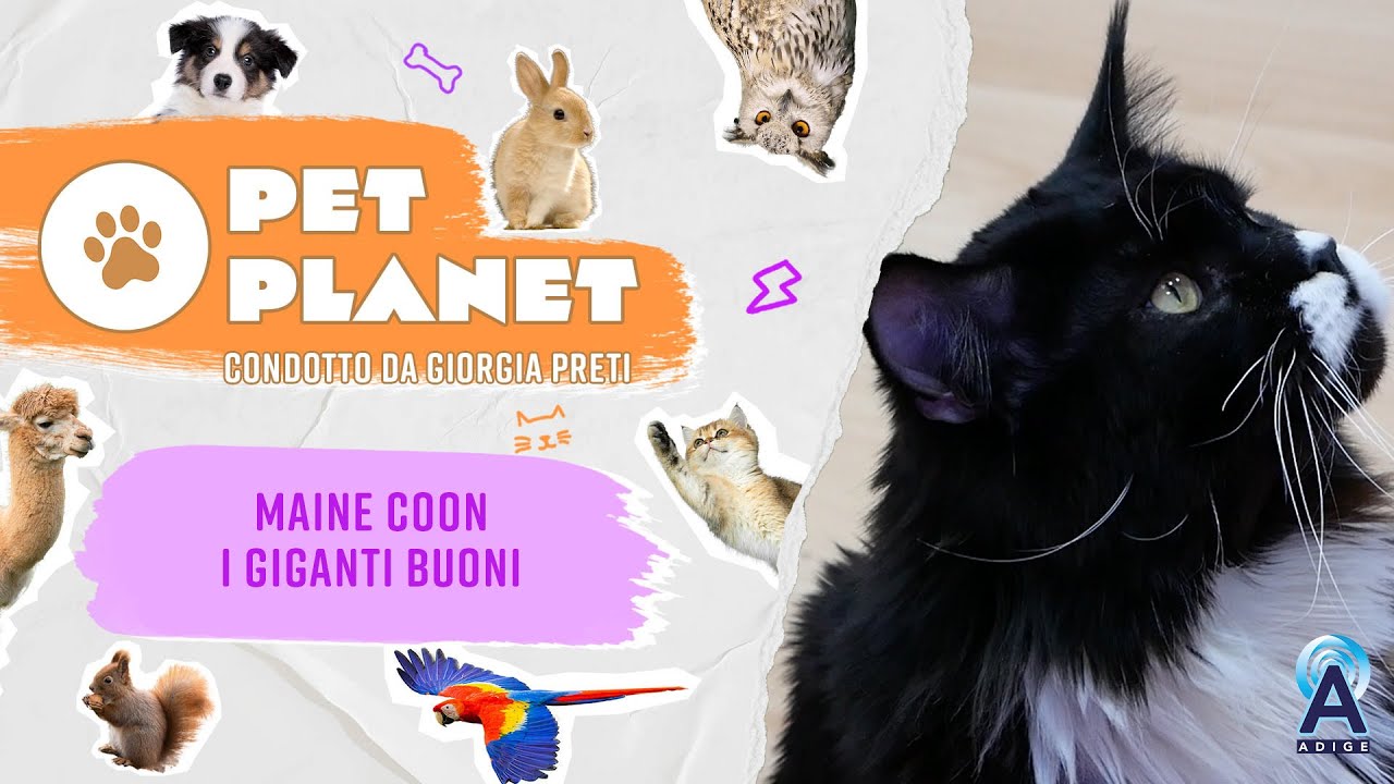 Descrizione dell'immagine