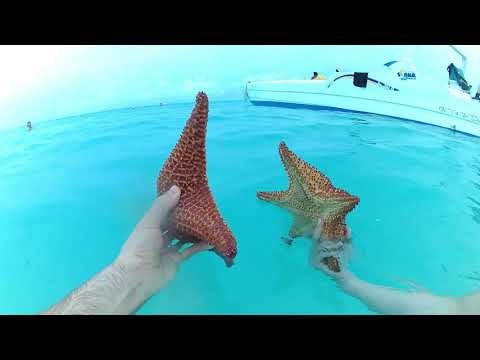 "Podróże z Kubą" odc. 9 (Karaiby)