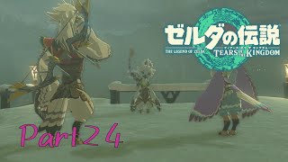 かつて共闘した相棒の息子と今回は共闘することになりそう-ゼルダの伝説 Tears of the Kingdom -part24-