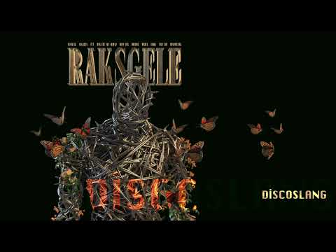 DiscoSlang (Official Audio)