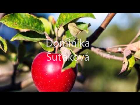 Dominika Šuťáková - Červené jabĺčko