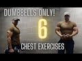 Chest Exercises Dumbbells Only For Full Chest Workout! Home Gym Workouts With BADDER
