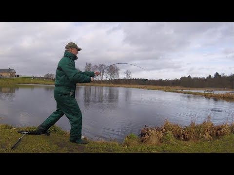 “Keiryu” 2019 Regnbueørred