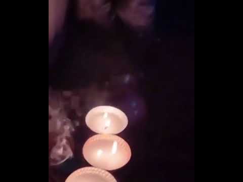 #tb Ariana Grande Showing The Chairs Her Dogs Chewed 🐾