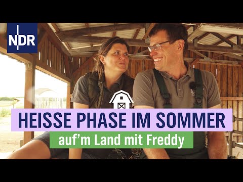Heiße Phase im Sommer | Folge 8 | NDR auf'm Land