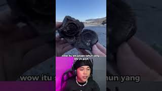 Download lagu This is the Appearance of Dinosaur Fossils Found Millions of Years Ago 😱 #shorts mp3