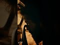 Aadu Jeevitham Status Video Aadujeevitham Goatlife Malayalam Statusvideo