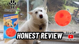 Omega Paw Tricky Treat Ball | Honest Dog Reviews