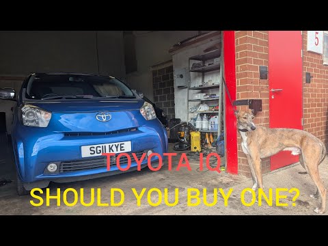 WHY YOU SHOULD BUY A TOYOTA IQ!
