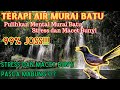 TERAPI AIR MURAI BATU || PULIHKAN MENTAL MURAI BATU STRESS DAN MACET BUNYI || TERAPI MABUNG