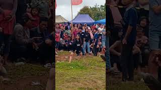 Download lagu cewek cantik ikut jantur Dan Cakilan #ebegbanyumasan #cakilanebegbanyumasan #shrots #semuaorang mp3 Download lagu cewek cantik ikut jantur Dan Cakilan #ebegbanyumasan #cakilanebegbanyumasan #shrots #semuaorang mp3