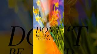 Download lagu Feels - Calvin Harris, Katy Perry, Pharrell Williams, Big Sean #feels #music #lyrics #shorts mp3