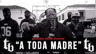 Download lagu THELL BARRIO - A Toda Madre (Video oficial) mp3 Download lagu THELL BARRIO - A Toda Madre (Video oficial) mp3