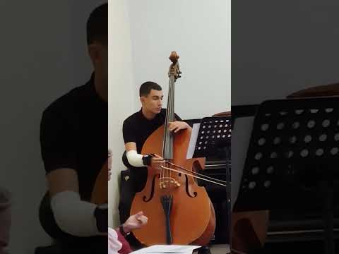 J. B. Vanhal, Konzert D-Dur, 1 Allegro Moderato, in double bass by Leon Vitzilaios