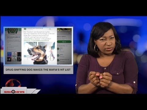 Drug-sniffing dog makes the mafia’s hit list (ASL - 7.30.18)