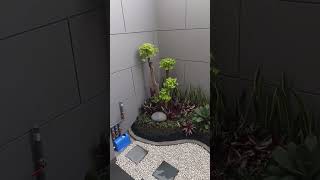 Download lagu desain taman kering minimalist bebatuan dalam rumah#tamanmungil#taman#tamanminimalis#desaintaman mp3