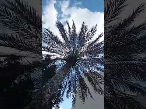 the sky is mine! Teaser