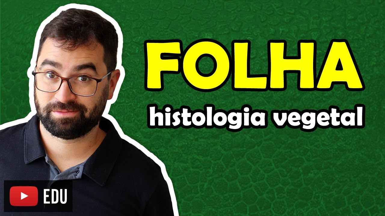 Histologia da Folha - Aula 11 - Módulo V: Botânica | Prof. Guilherme
