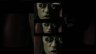 MATRIX (escena de las PASTILLAS)