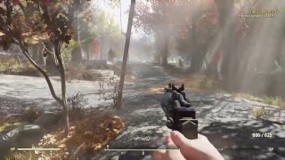 Fallout 76 |
