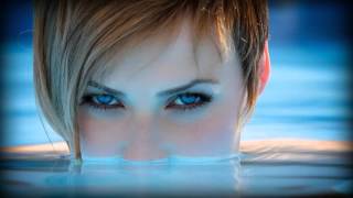 Wilkie - Roman Flügel