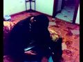 RONKIDO25