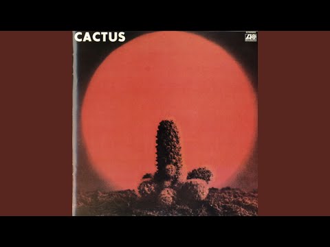 You Can't Judge a Book by the Cover