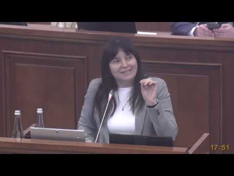 Victoria Belous bate obrazul opoziției: „Aveți familii care au trăit cu 33.000 de lei anual.”