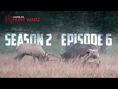 S2: Episode 6 -  KING OF THE CAMP ARCHERY ELK