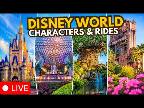 Live webcam of Disney Parks with Love