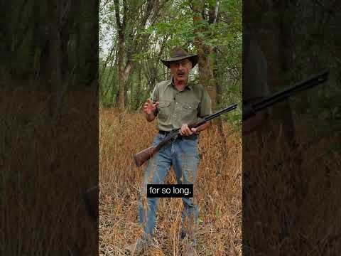 Better Than 30-30 for Whitetail Hunting?