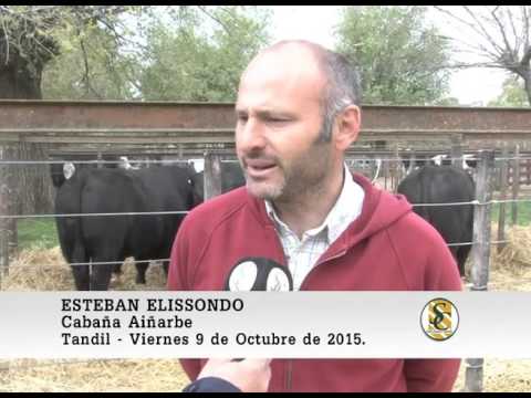 09-10-15 Nota Esteban Elissondo - Cabaña Aiñarbe - Ledesma y Arana S.R.L. - Tandil.