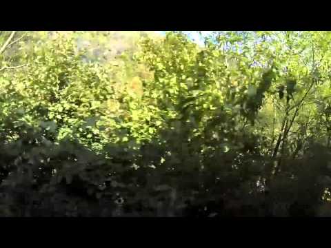 Vacante La Munte - Cazat.ro